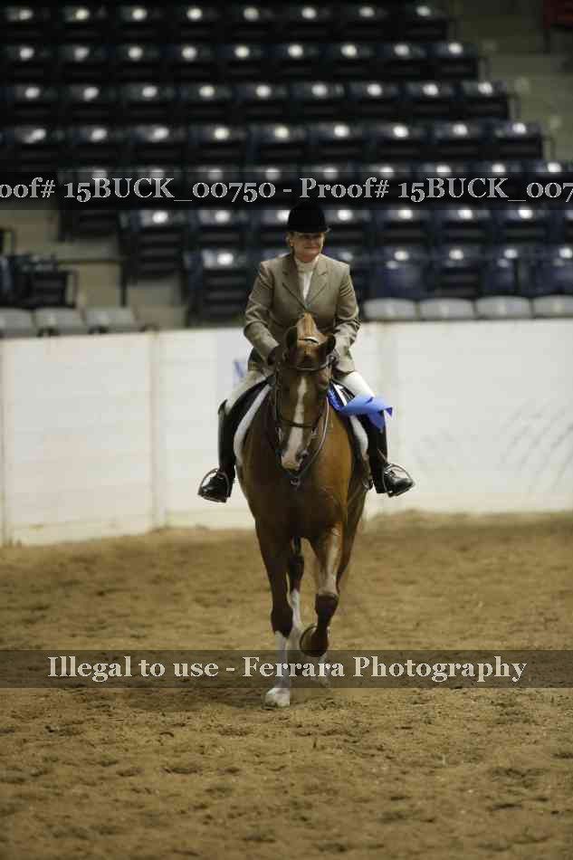 Proof Number 15BUCK_00750