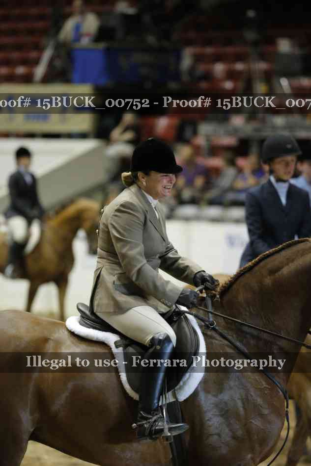 Proof Number 15BUCK_00752