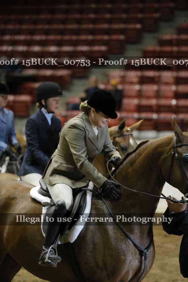 Proof Number 15BUCK_00753