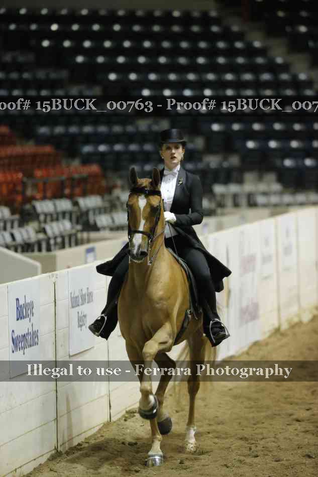 Proof Number 15BUCK_00763
