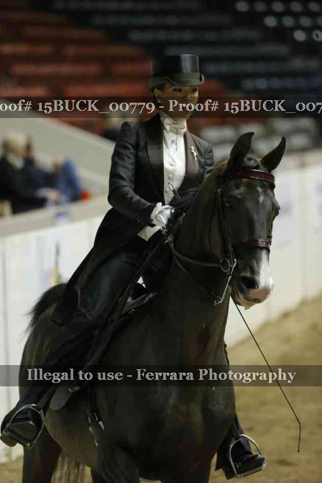 Proof Number 15BUCK_00779