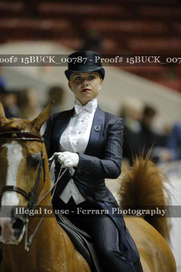 Proof Number 15BUCK_00787