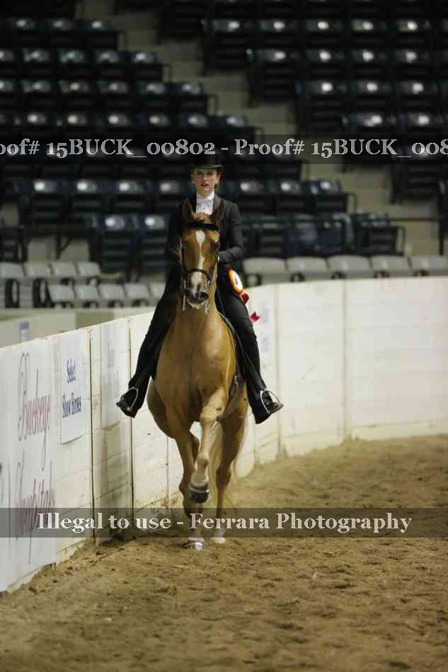 Proof Number 15BUCK_00802