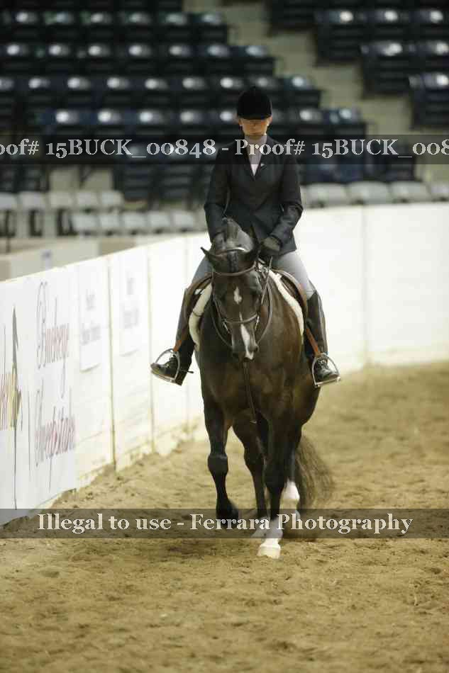 Proof Number 15BUCK_00848