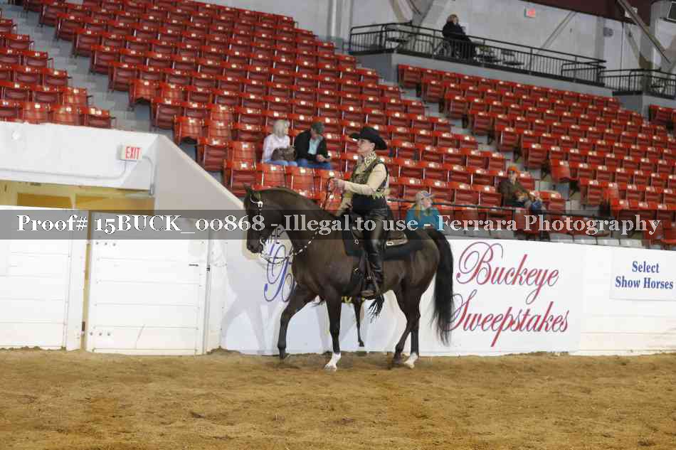 Proof Number 15BUCK_00868
