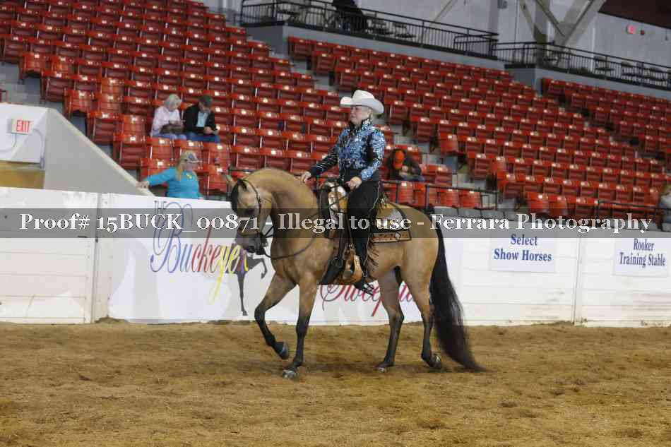 Proof Number 15BUCK_00871