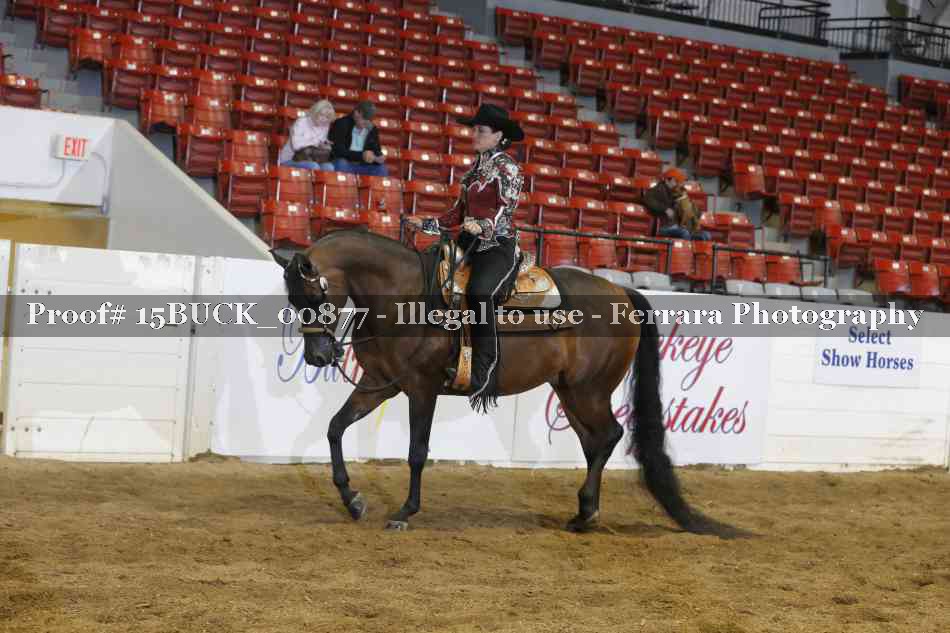 Proof Number 15BUCK_00877