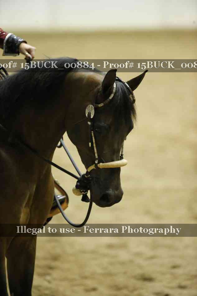 Proof Number 15BUCK_00884