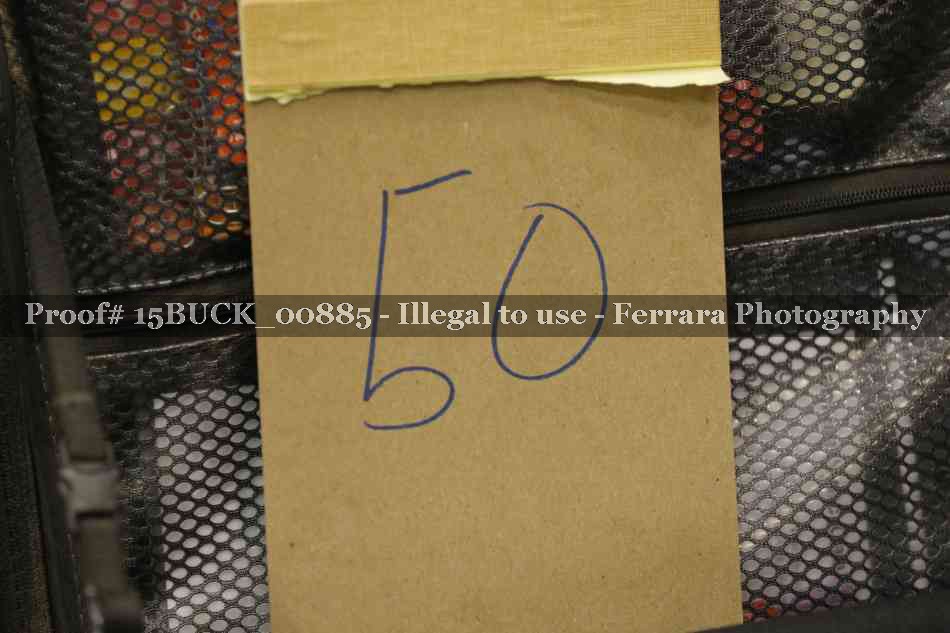 Proof Number 15BUCK_00885