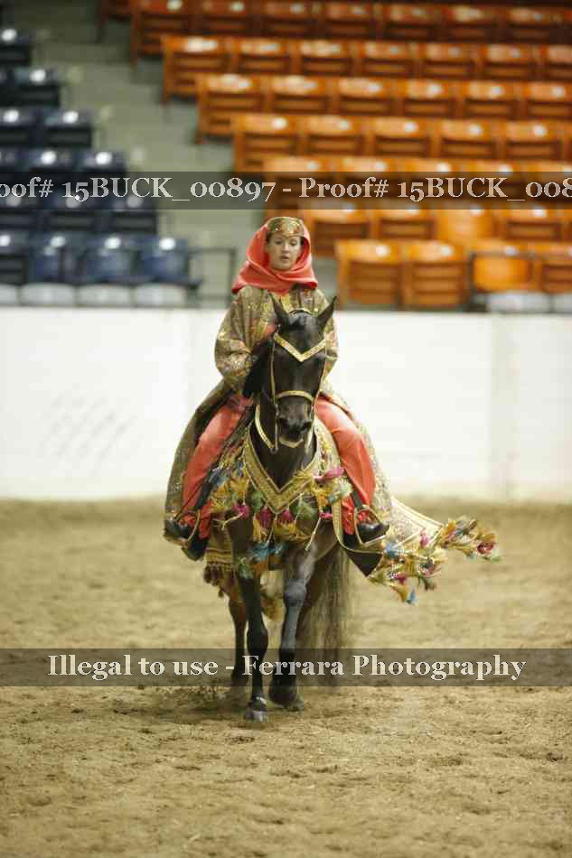 Proof Number 15BUCK_00897