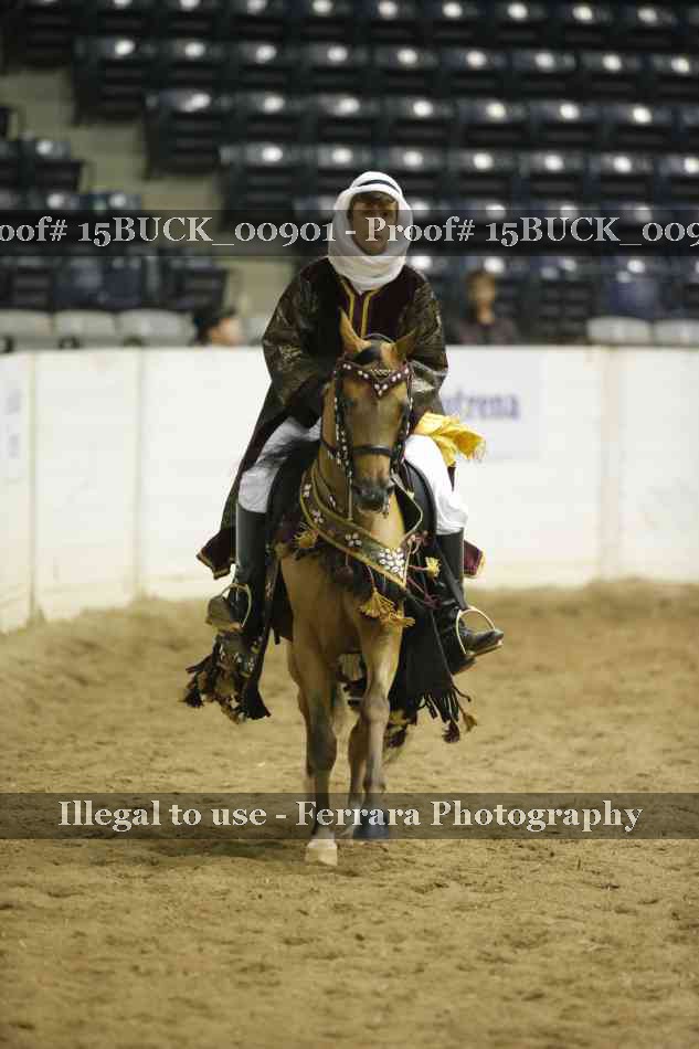 Proof Number 15BUCK_00901