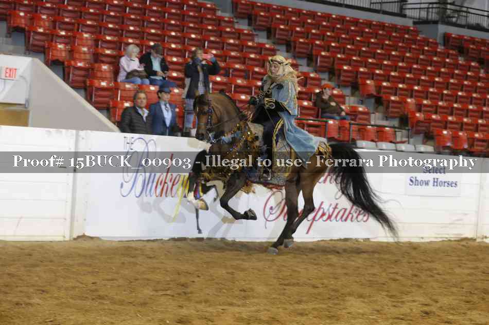 Proof Number 15BUCK_00903