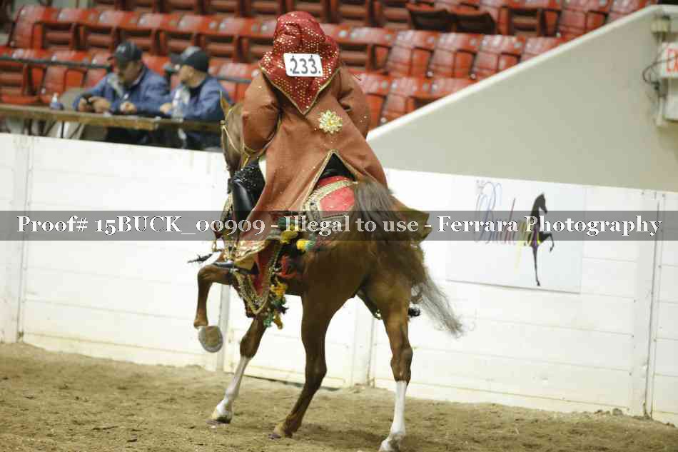 Proof Number 15BUCK_00909