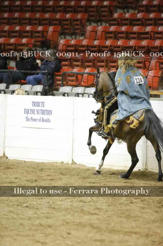 Proof Number 15BUCK_00911