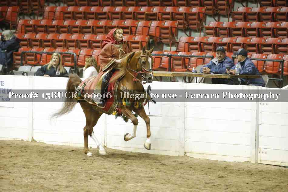 Proof Number 15BUCK_00916
