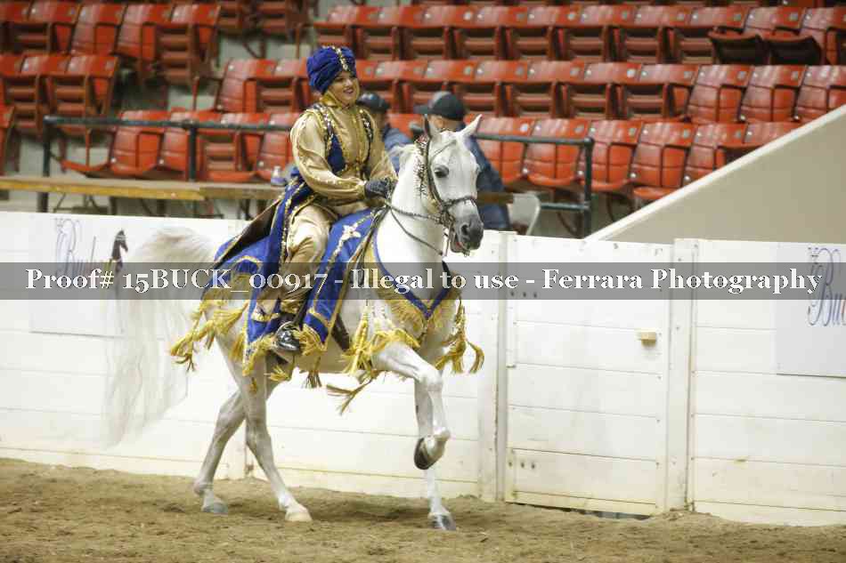Proof Number 15BUCK_00917