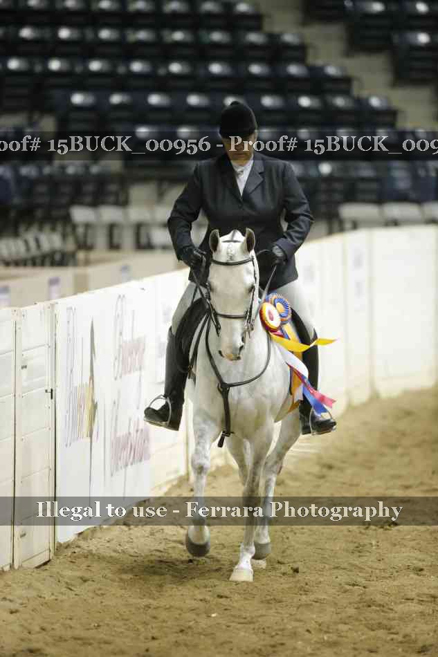 Proof Number 15BUCK_00956