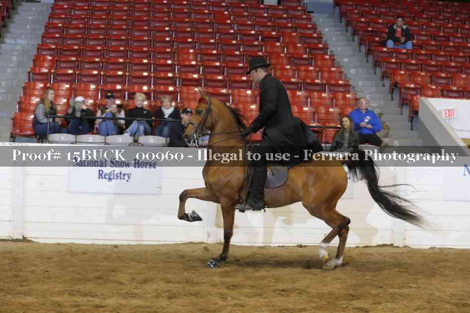 Proof Number 15BUCK_00960