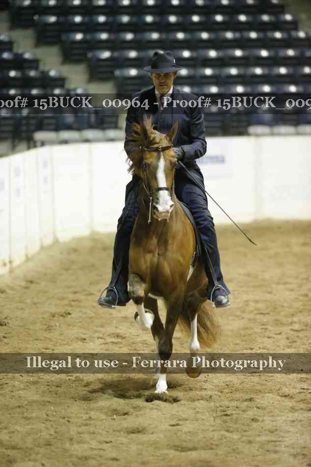 Proof Number 15BUCK_00964