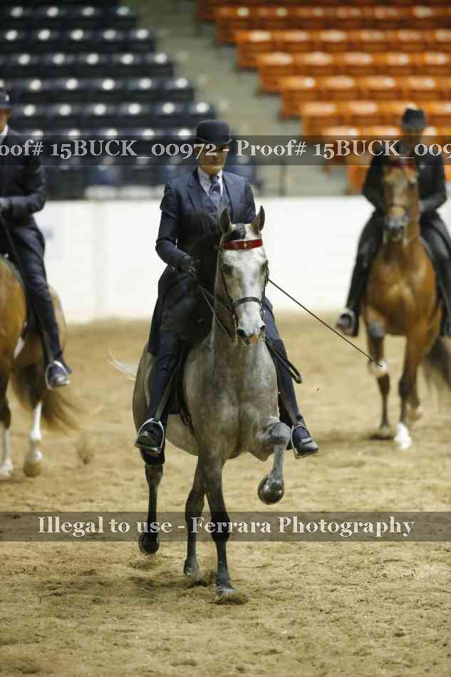 Proof Number 15BUCK_00972