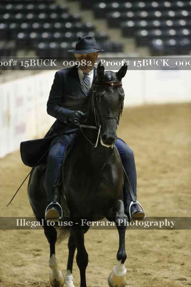 Proof Number 15BUCK_00982