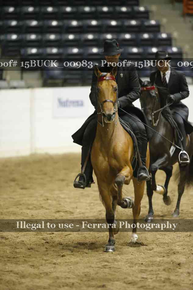 Proof Number 15BUCK_00983