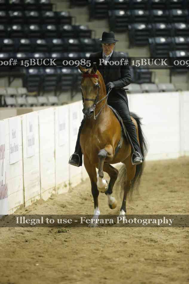 Proof Number 15BUCK_00985
