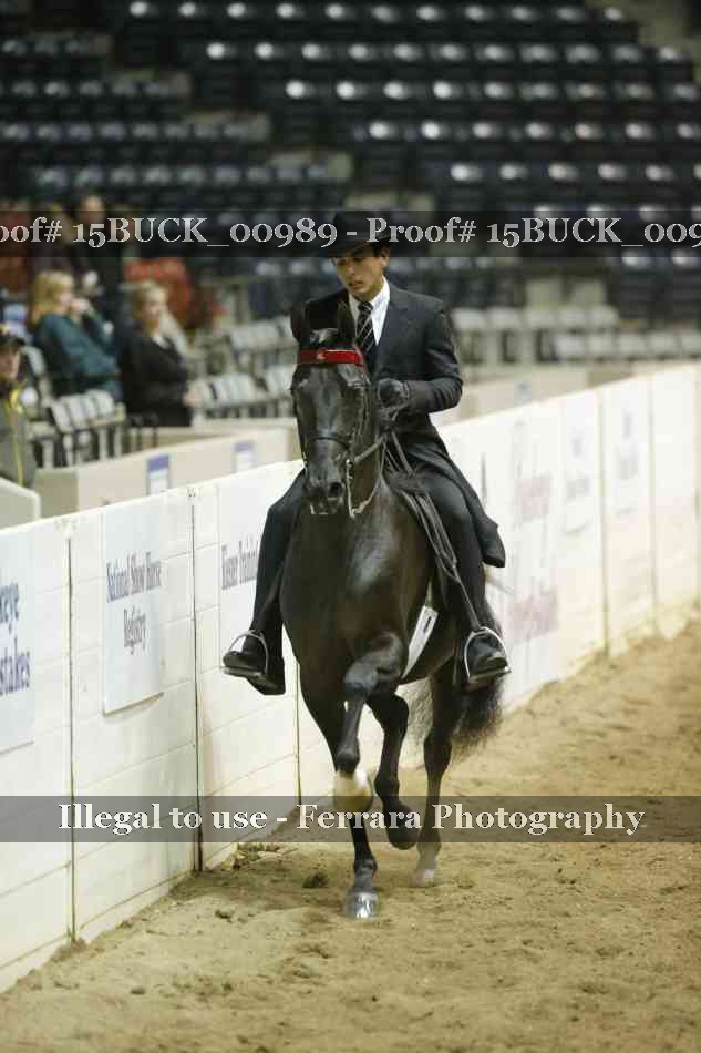Proof Number 15BUCK_00989