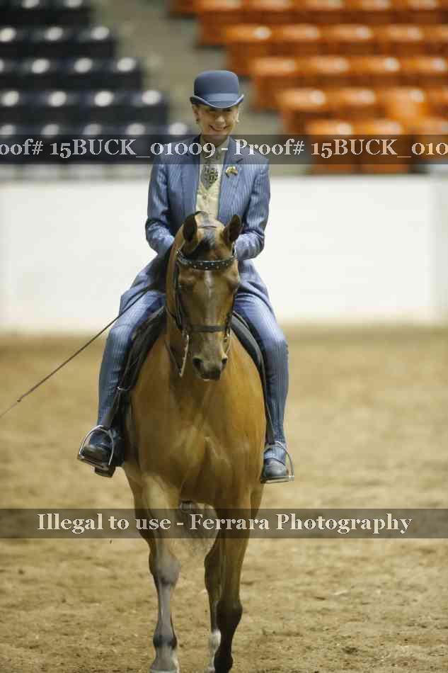 Proof Number 15BUCK_01009