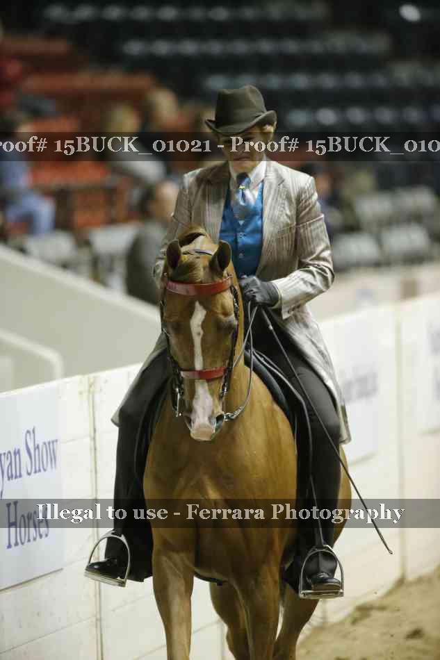 Proof Number 15BUCK_01021