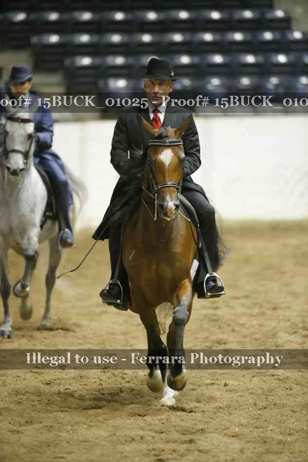 Proof Number 15BUCK_01025