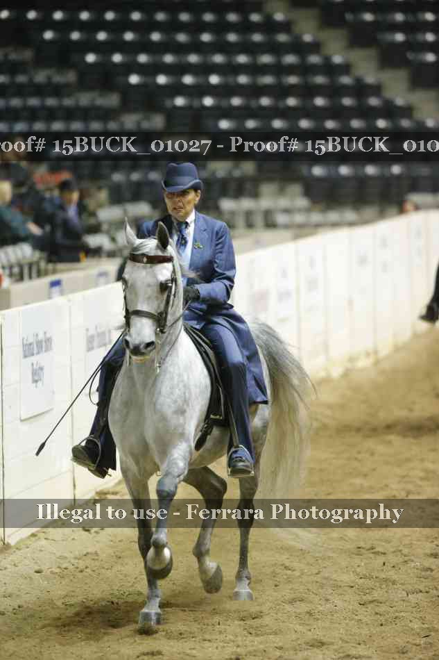 Proof Number 15BUCK_01027