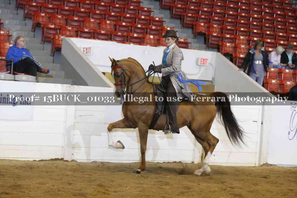 Proof Number 15BUCK_01033