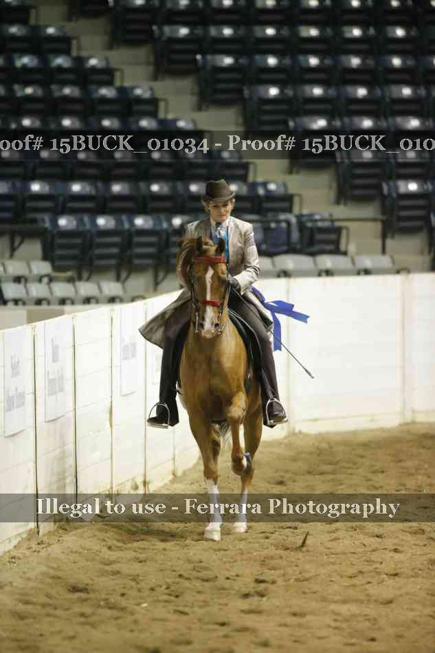 Proof Number 15BUCK_01034