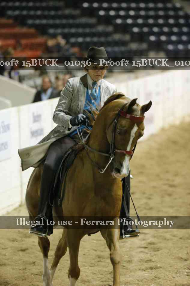 Proof Number 15BUCK_01036