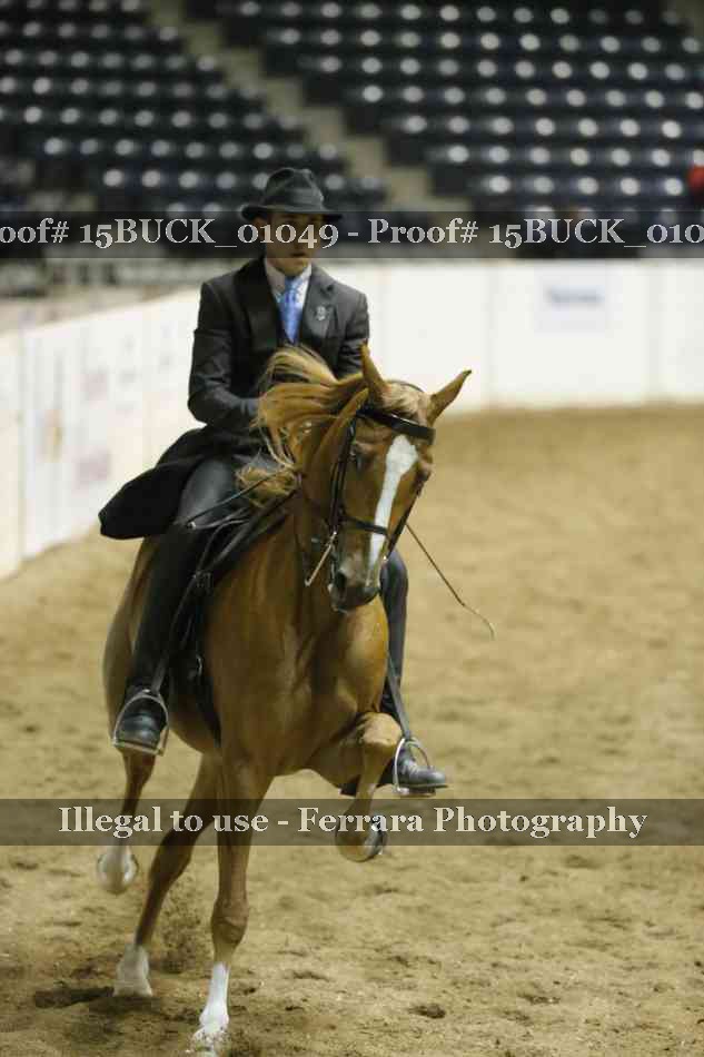 Proof Number 15BUCK_01049