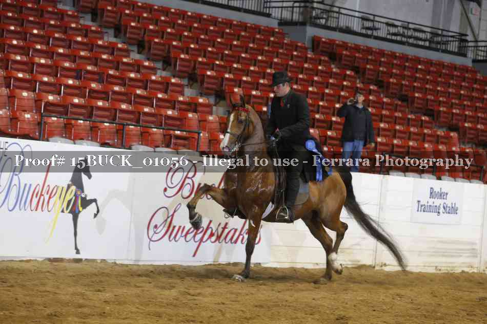 Proof Number 15BUCK_01056