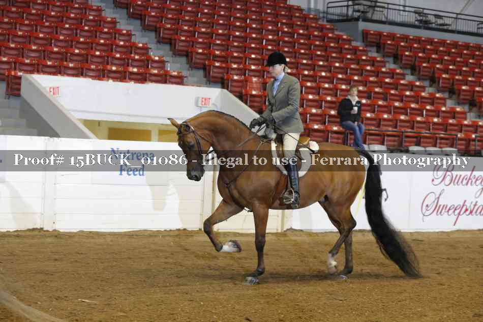 Proof Number 15BUCK_01086