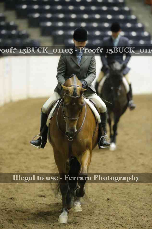 Proof Number 15BUCK_01105