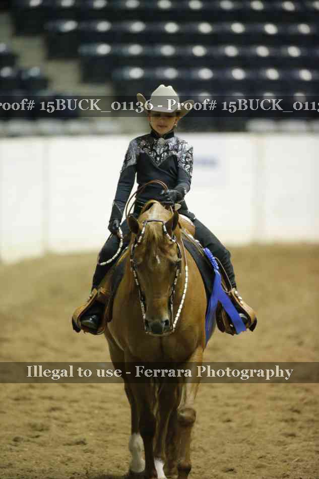 Proof Number 15BUCK_01136
