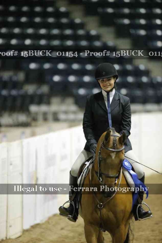 Proof Number 15BUCK_01154