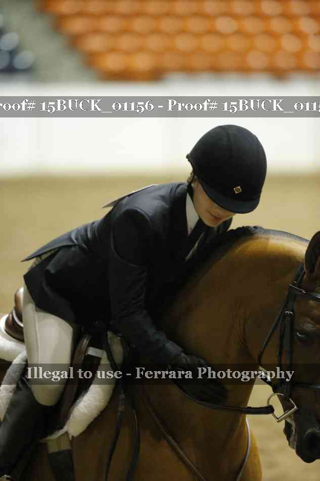 Proof Number 15BUCK_01156