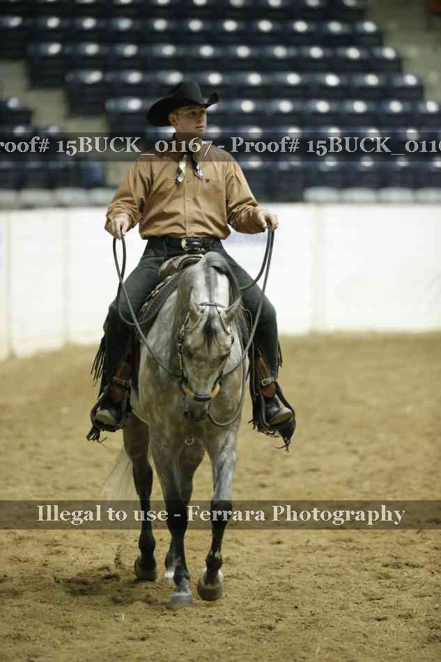 Proof Number 15BUCK_01167