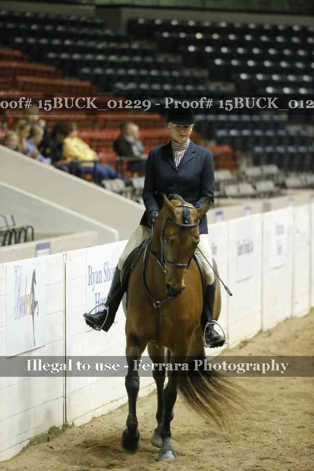 Proof Number 15BUCK_01229