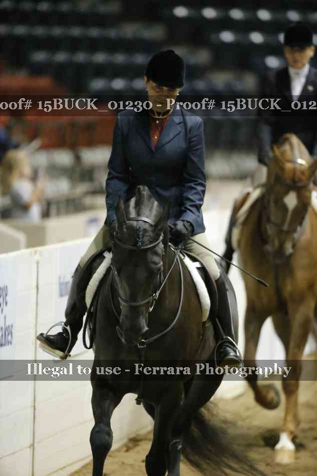 Proof Number 15BUCK_01230