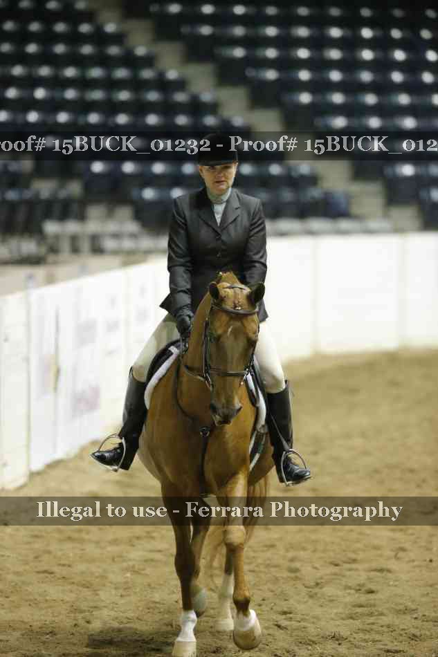 Proof Number 15BUCK_01232
