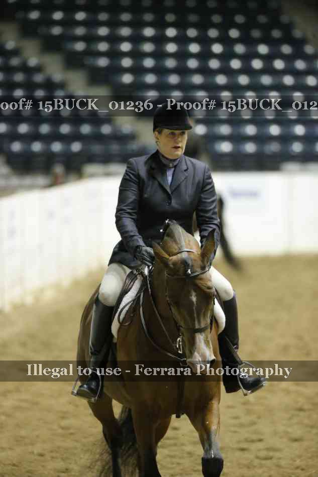 Proof Number 15BUCK_01236