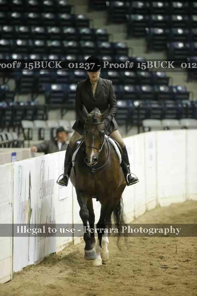 Proof Number 15BUCK_01237