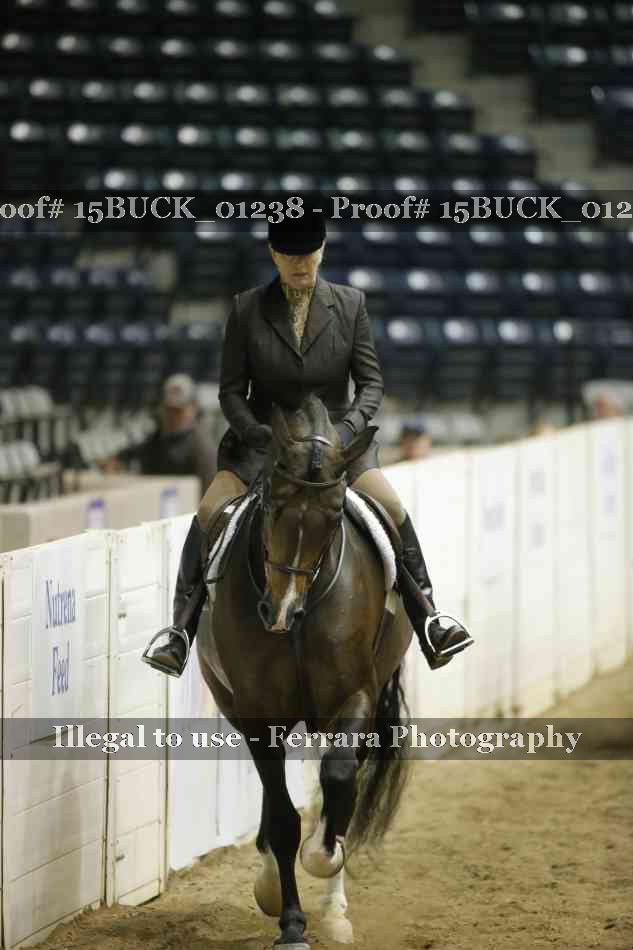 Proof Number 15BUCK_01238