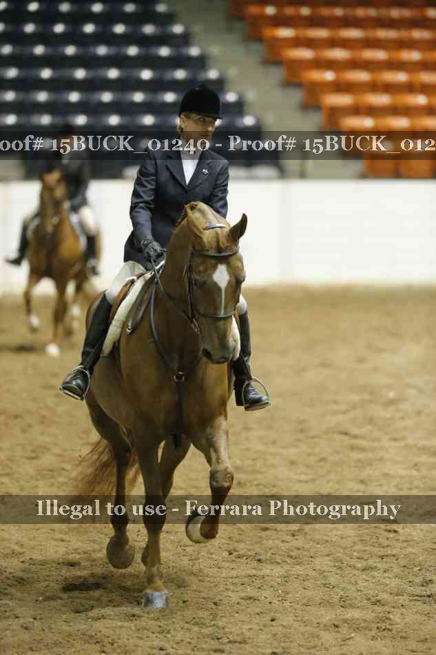Proof Number 15BUCK_01240